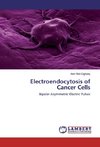 Electroendocytosis of Cancer Cells