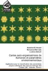 Cartes auto-organisatrices de Kohonen et paramètres environnementaux