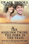 The Asquinn Twins Book 2