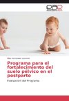 Programa para el fortalecimiento del suelo pélvico en el postparto