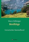 Streifzüge