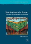 Shaping Peace in Kosovo