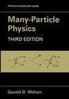 Many-Particle Physics