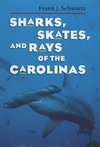 Sharks, Skates, and Rays of the Carolinas