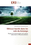 Métaux lourds dans les sols du Katanga