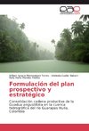 Formulación del plan prospectivo y estratégico