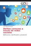 Delitos comunes a través de redes sociales