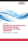 Oxidación de fenol con reactivo Fenton operando en flujo continuo