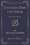 Lambertz, M: Zwischen Drin und Vojusa