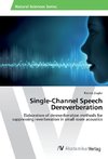 Single-Channel Speech Dereverberation