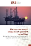 Plateau continental Malgache et gisement pétrolifère