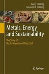 Metals, Energy and Sustainability