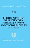 Representations of Elementary Abelian p-Groups and Vector             Bundles