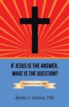 If Jesus Is the Answer, What Is the Question?