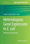 Heterologous Gene Expression in E.coli