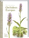 Wunderschöne Orchideen Europas