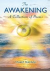 The Awakening