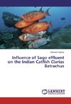 Influence of Sago effluent on the Indian Catfish Clarias Batrachus