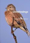 Linnetswings