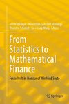 From Statistics to Mathematical Finance