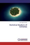 Statistical Analysis of Extremes