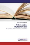 Antimicrobial Phytochemicals