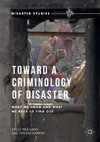 Toward a Criminology of Disaster