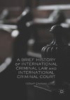 A Brief History of International Criminal Law and International Criminal Court