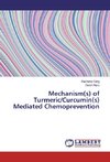 Mechanism(s) of Turmeric/Curcumin(s) Mediated Chemoprevention