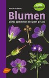 Blumen