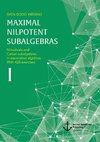 Maximal nilpotent subalgebras I: Nilradicals and Cartan subalgebras in associative algebras. With 428 exercises