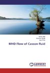 MHD Flow of Casson fluid