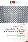 Mécanisme de dégradation thermique d'un copolymère dans les SBA-15