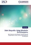 Dört Boyutlu Ising Modelin Simülasyonu