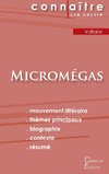 Fiche de lecture Micromégas (Analyse littéraire de référence et résumé complet)