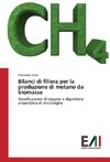 Bilanci di filiera per la produzione di metano da biomasse