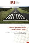 Cristaux photoniques unidimensionnels