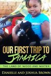 Our First Trip To Jamaica - land of wood and water