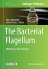 The Bacterial Flagellum