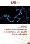 Amélioration du transfert convectif dans une couche limite turbulente