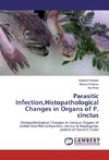 Parasitic Infection,Histopathological Changes in Organs of P. cinctus