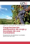 Caracterización polifenolica de orujo y escobajo de uva Carménère