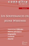 Fiche de lecture Les Souffrances du jeune Werther (Analyse littéraire de référence et résumé complet)