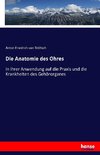 Die Anatomie des Ohres