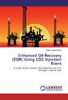 Enhanced Oil Recovery (EOR) Using CO2 Injection Risers