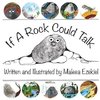 If A Rock Could Talk