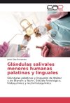 Glándulas salivales menores humanas palatinas y linguales