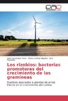 Los rizobios: bacterias promotoras del crecimiento de las gramíneas