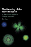 The Meaning of the Wave Function