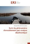 Suivi du phénomène d'ensablement par analyse diachronique